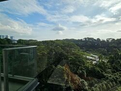 Normanton Park (D5), Apartment #551850721